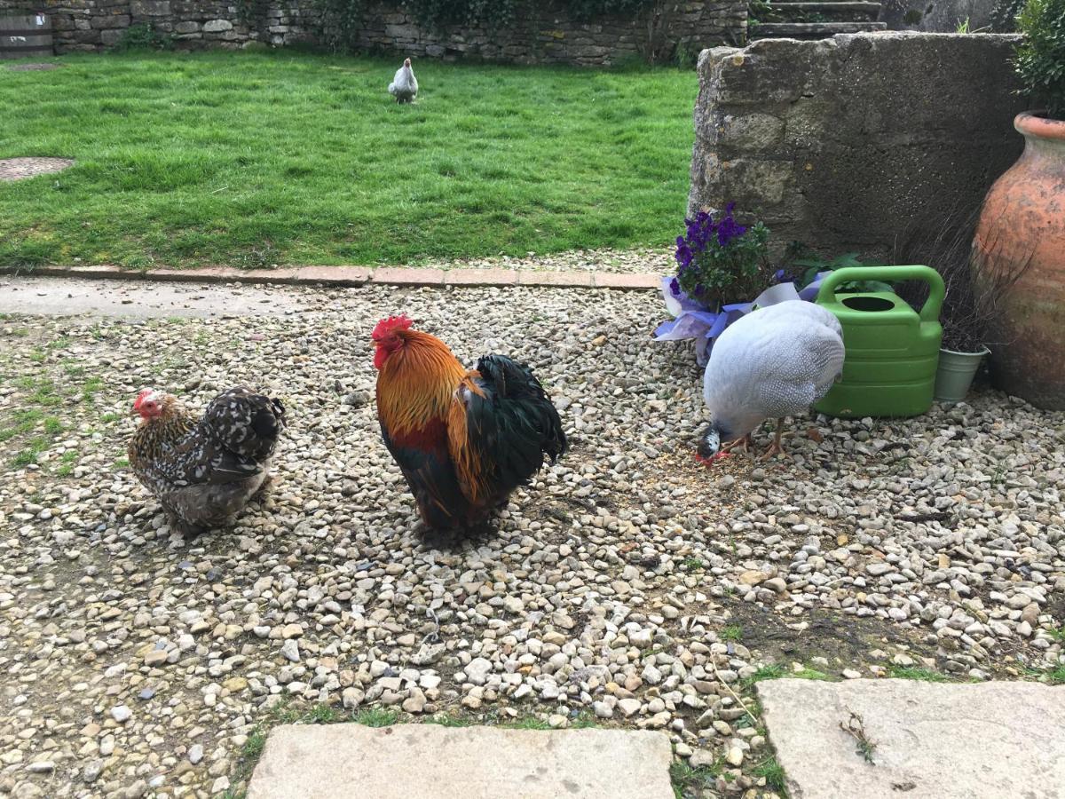 Appartamento Woodcock Farm Bristol Esterno foto
