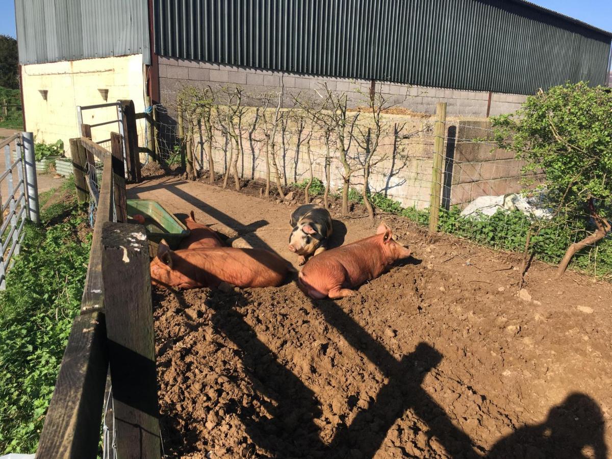 Appartamento Woodcock Farm Bristol Esterno foto